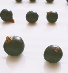 black currant on white background, flatlay photography