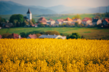 Fototapeta na wymiar Yellow spring rural landscape, church and village. Cloza agricultural field