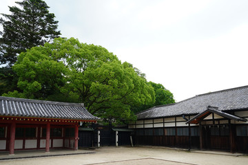 ◉Landscape of Iwashimizu Hachimangu◉