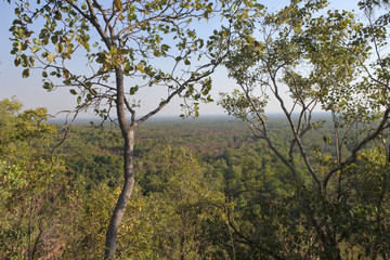 Litchfield National Park Landscape Northern Territory Australia