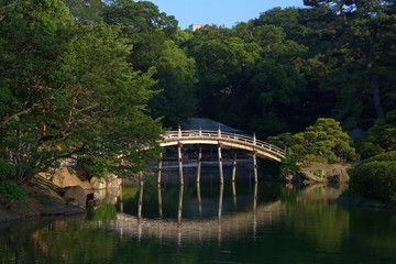 Empty wooden bridge over water in a park