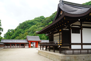 Naklejka premium ◉Landscape of Iwashimizu Hachimangu◉