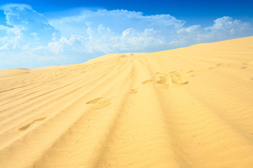 Fototapeta na wymiar white sand dune Muine Vietnam