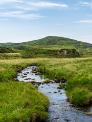 Fototapeta na wymiar Mountain landscape with a river flowing through a tall grass meadow and leading to a distant peak. The Owengarriff River on a summer day in Killarney, County Kerry, Ireland.