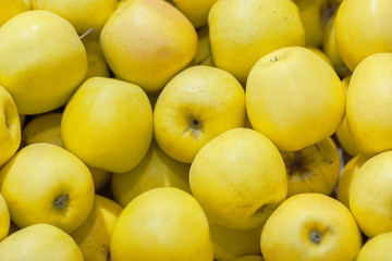 Lots of yellow apples. Natural condition. Top view as background