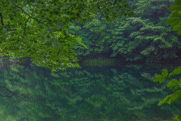 Oirase mountain stream in early summer