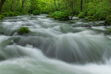 Fototapeta premium Oirase mountain stream in early summer