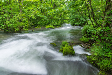 Oirase mountain stream in early summer