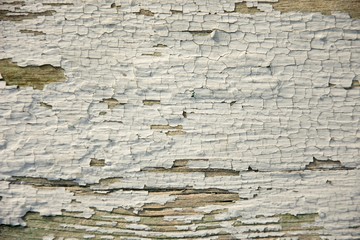 wooden background with paint