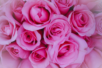Close-up shot of a bouquet made up of pink roses, bouquet of pink rose background.