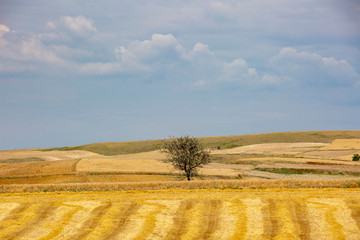 Fototapeta premium unique landscapes of nature