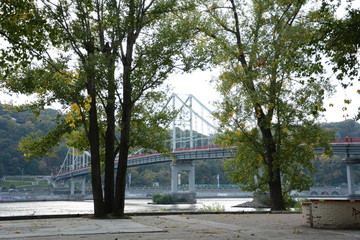 bridge in the park