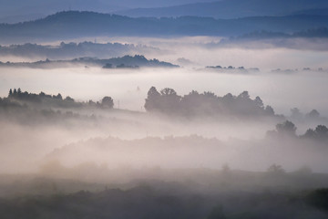 morning landscape, a green meadow covered with morning mist