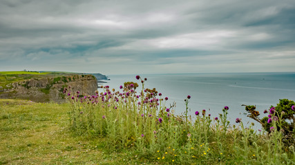 A view from the Welsh Coastal path