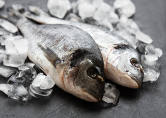 Fresh fish dorado