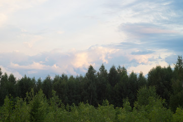 Cloudy summer landscape, beautiful scenic cirrus clouds over a dense forest