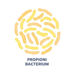 Vector probiotics in circular shape. Propionibacterium. Microbiome. Medicine or dietary supplement. Brochure, flyer, label, cover, poster, banner, package, advertising, presentation. Yellow colors