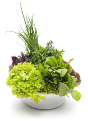 Fresh Green Herbs necessary on the each kitchen