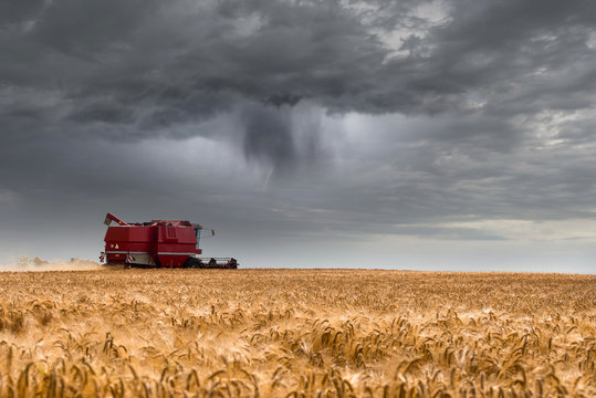 finish the harvest before the storm arrives