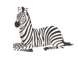 African zebra lying on ground side view cartoon animal design flat vector illustration isolated on white background © Alfmaler