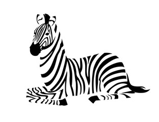 African zebra lying on ground side view outline striped silhouette animal design flat vector illustration isolated on white background © Alfmaler