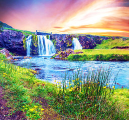 Beautiful natural magical scenery with a waterfall Kirkjufell and yellow flowersat dawn in Iceland. Exotic countries. Amazing places. Popular tourist atraction. (Meditation, antistress - concept).