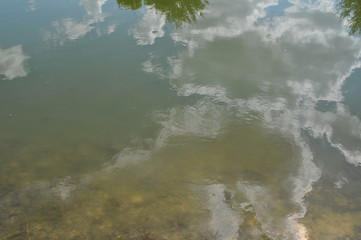 Reflection