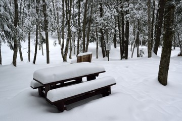 A snow covered picnic bench in winter