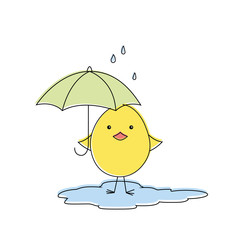 Cute chicken in the rain