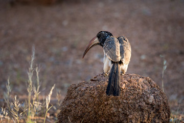 Namibia Afrika Landschaft