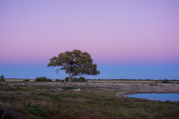 Fototapeta na wymiar Namibia Afrika Landschaft