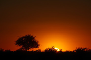 Fototapeta na wymiar Namibia Afrika Landschaft