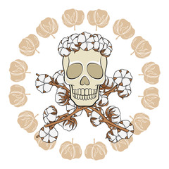 Skull in a wreath of cotton buds with crossed cotton branches. Isolated vector objects on white background.