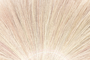 Broom grass texture for nature light brown background with seamless patterns , made from dried long grass