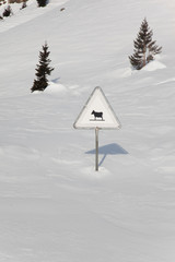 Schild mit Kuh im schnee