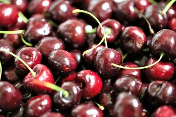 fresh cherries in a bowl