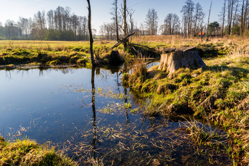Magiczny krajobraz Podlasia, Polska. © podlaski49