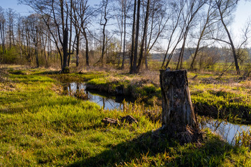 Magiczny krajobraz Podlasia, Polska. © podlaski49