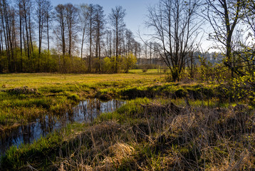 Magiczny krajobraz Podlasia, Polska. © podlaski49