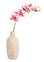 flowers in vase isolated on white
