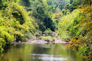 lake in the forest, Khao Yai