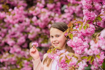 Fototapeta premium Girl enjoying floral aroma. Pollen allergy concept. Kid enjoy cherry blossom sakura. Kid on pink flowers sakura tree background. Allergy remedy. Child enjoy life without allergy. Sniffing flowers