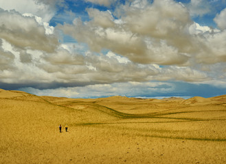 Fototapeta premium Mongolia. Sands Mongol Els, sandy dune desert,