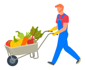 Farmer going with vegetables in cart, harvesting tomato, pumpkin and carrot, beet and potato, bell pepper. Agricultural worker with fresh products vector
