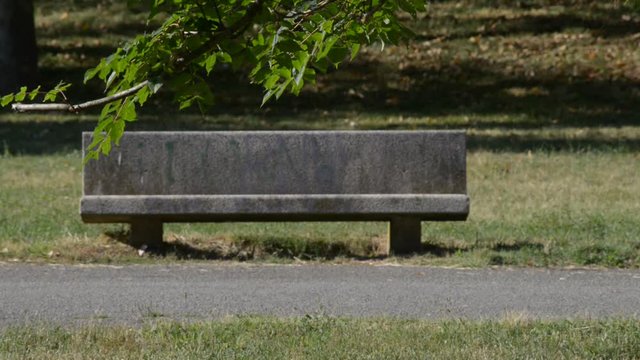 a passeggio nel parco con il proprio cane in una splendida giornata di vacanza