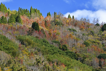 beauty of Taiwan