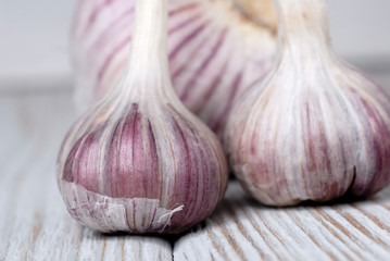 New harvest garlic healthy spice in the kitchen closeup. Shallow depth of field