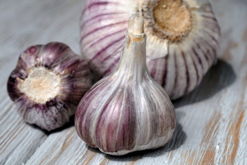 Obraz premium New harvest garlic healthy spice in the kitchen closeup