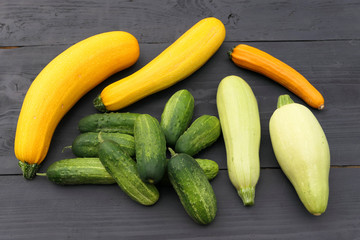Fresh harvested home grown yellow zucchini squash and green cucumbers.