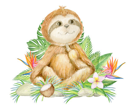 sloth, watercolor painting on an isolated background baby pictures, tropical animal.